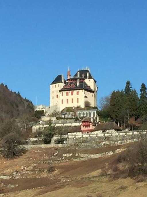 Maison De Vacances 220M2 Vue Lac Et Chateau Menthon-Saint-Bernard Luaran gambar